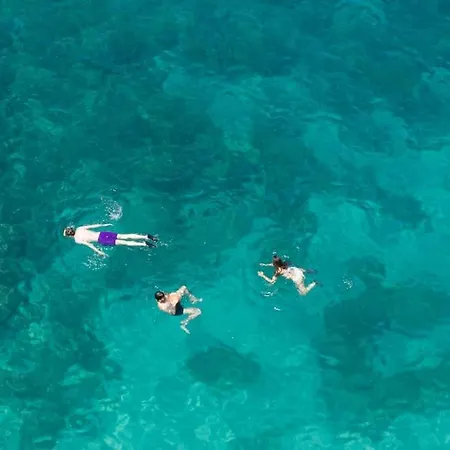 Matisse-bozzi 59 דירה *