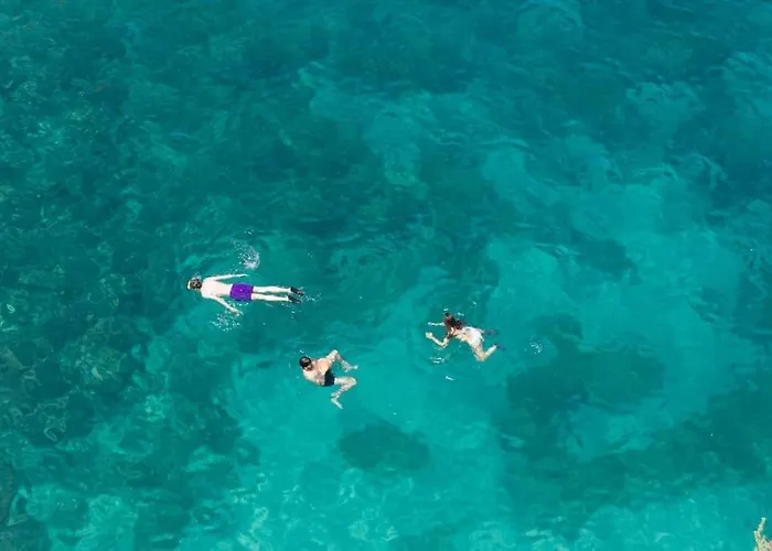 Matisse-bozzi 59 דירה *